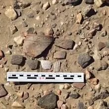 Eastern Desert Ware ceramics along with Red Sea shells found at Alitiatib.