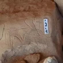 Cattle rock art at a cave in the deserts east of Lower Nubia